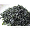 High quality seaweed dried kelp slice laminaria